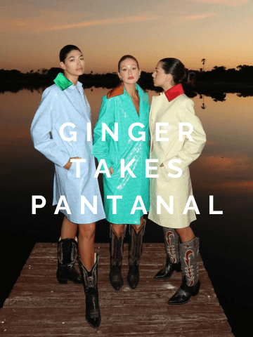 JEV - Ginger Takes Pantanal